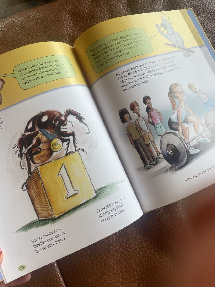 Libri: Kinderbuch Englisch – Nuovo (secondo la descrizione) da Freidorf TG venduto da ibipatria 3