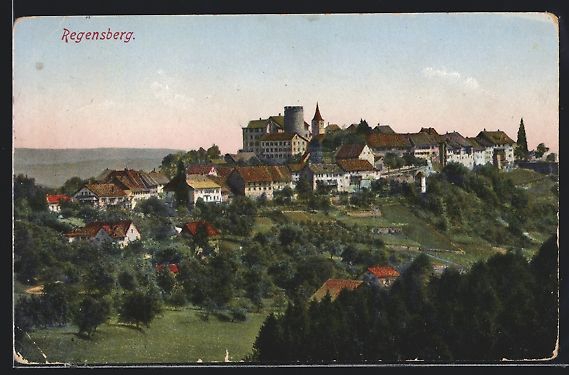 Cartoline postali: Regensberg, Totalansicht von Ferne auf O – Usato da Berlin venduto da bartko-reher