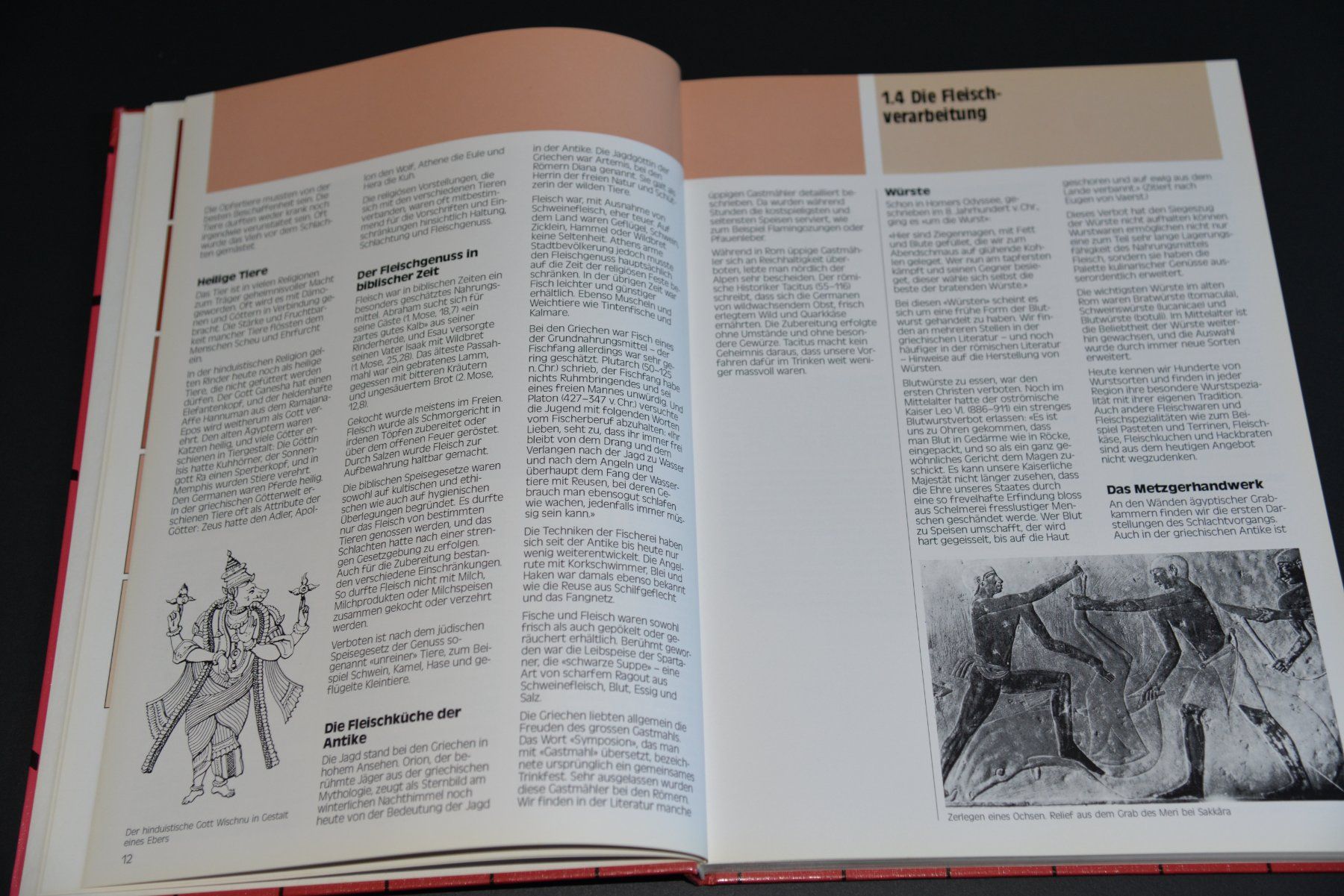 Libri: Stichwort Fleisch, 1. Auflage, 1985 – Usato da Lungern venduto da Kammer-Lungern 9