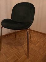 Elegante Samtstühle / Esszimmer
