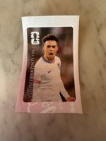 Coca Cola Fussball Sticker Antonee Robinson USA FIFA 2026