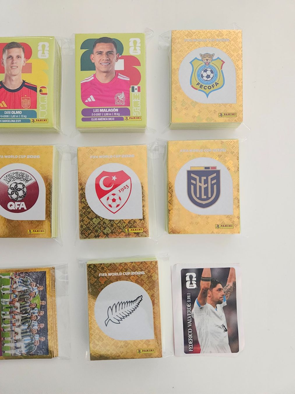 Panini Carte collezionabili: 626 figurine wm2026 + 2 Coca-Cola – Nuovo (secondo la descrizione) da Morbio Inferiore venduto da vin_fdj2 2
