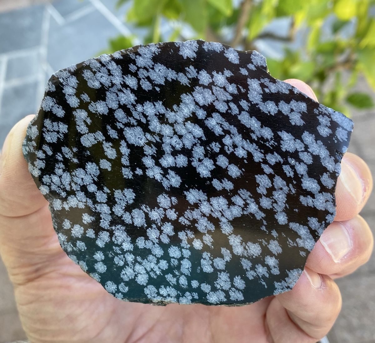 Minéraux & Lithothérapie: Schöne Schneeflockenobsidian Platte  – D'occasion à Selzach par 321compac 4