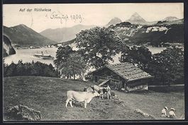 Rütli, Bergseepanorama von der Rütliwi