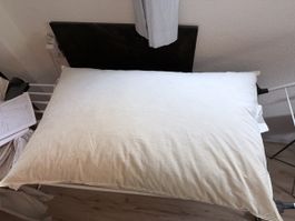 IKEA AXELOBELIA Kissen 65x100cm, Daunen/Federn, guter Zustan