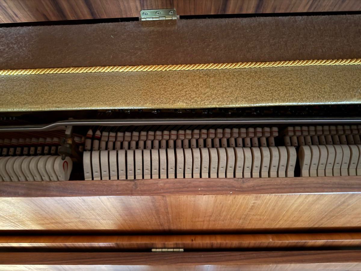 Strumenti musicali: Klavier der Marke Furstein Farfisa – Usato da Toffen venduto da Samson74 6
