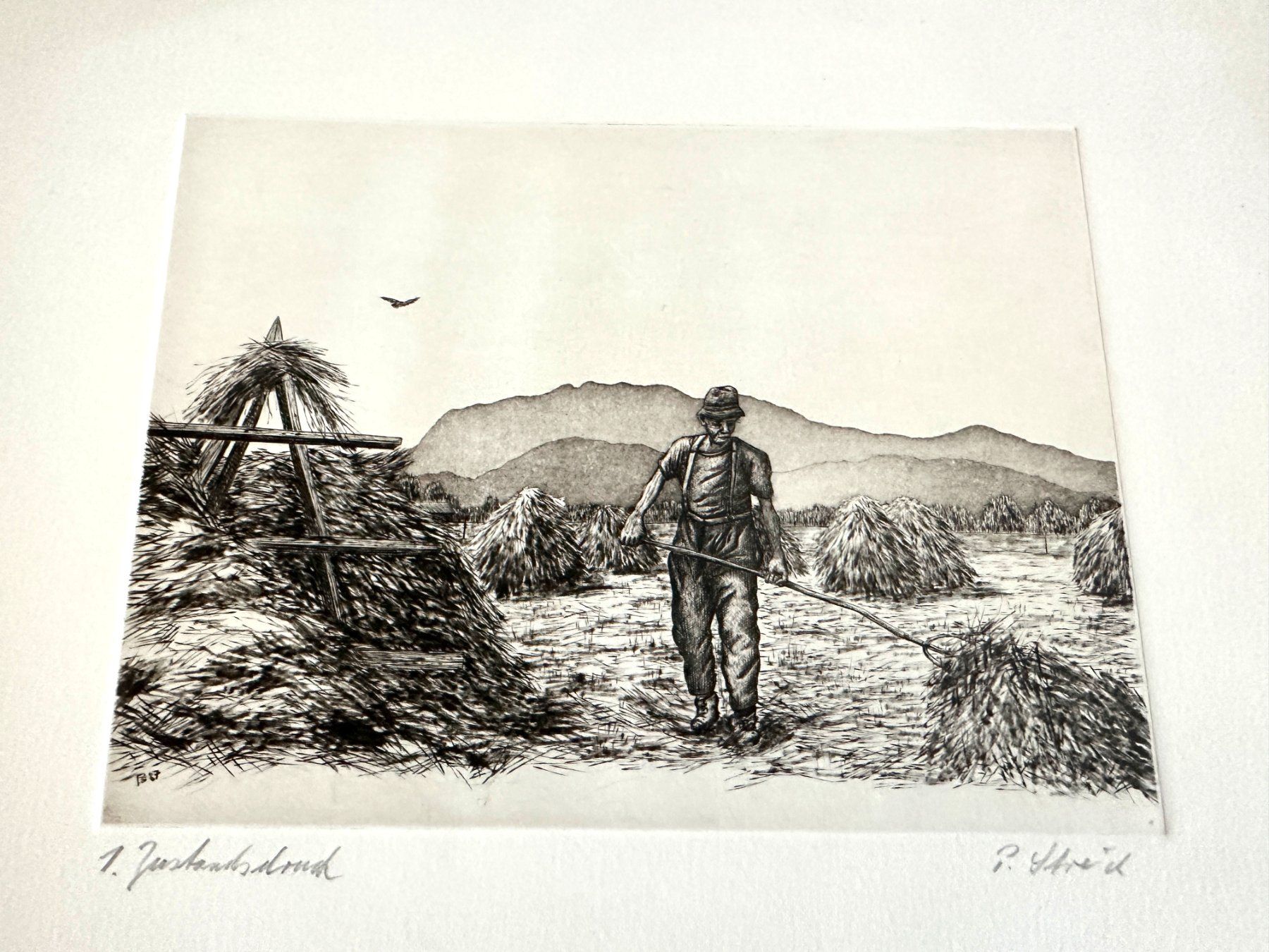 Incisioni: Radierung/Stich von Peter Streich – Usato da Heerbrugg venduto da kulline01