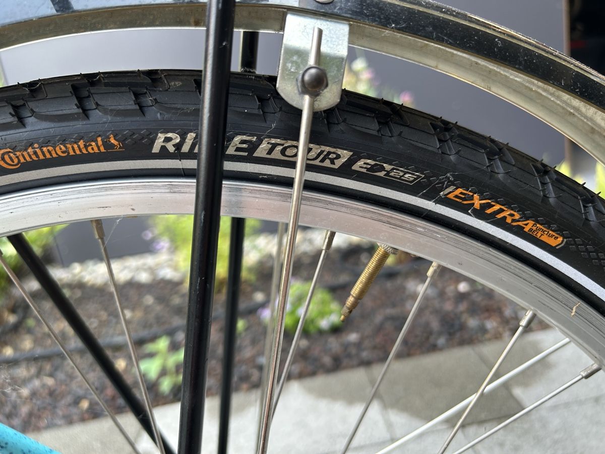 Biciclette: Damen Velo/Grosse Kinder – Usato da Birmenstorf AG venduto da Reninata 4