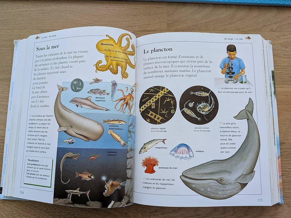 Libri: La grande encyclopédie des enfants  – Usato da Gland venduto da OleksandrB 3