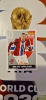Erling Haaland panini 2026