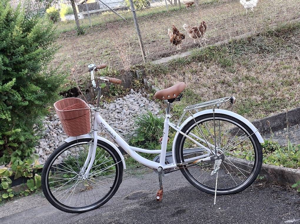 Velos: Fahrrad nigelnagelneu – Gebraucht aus Sissach von tigibloch99