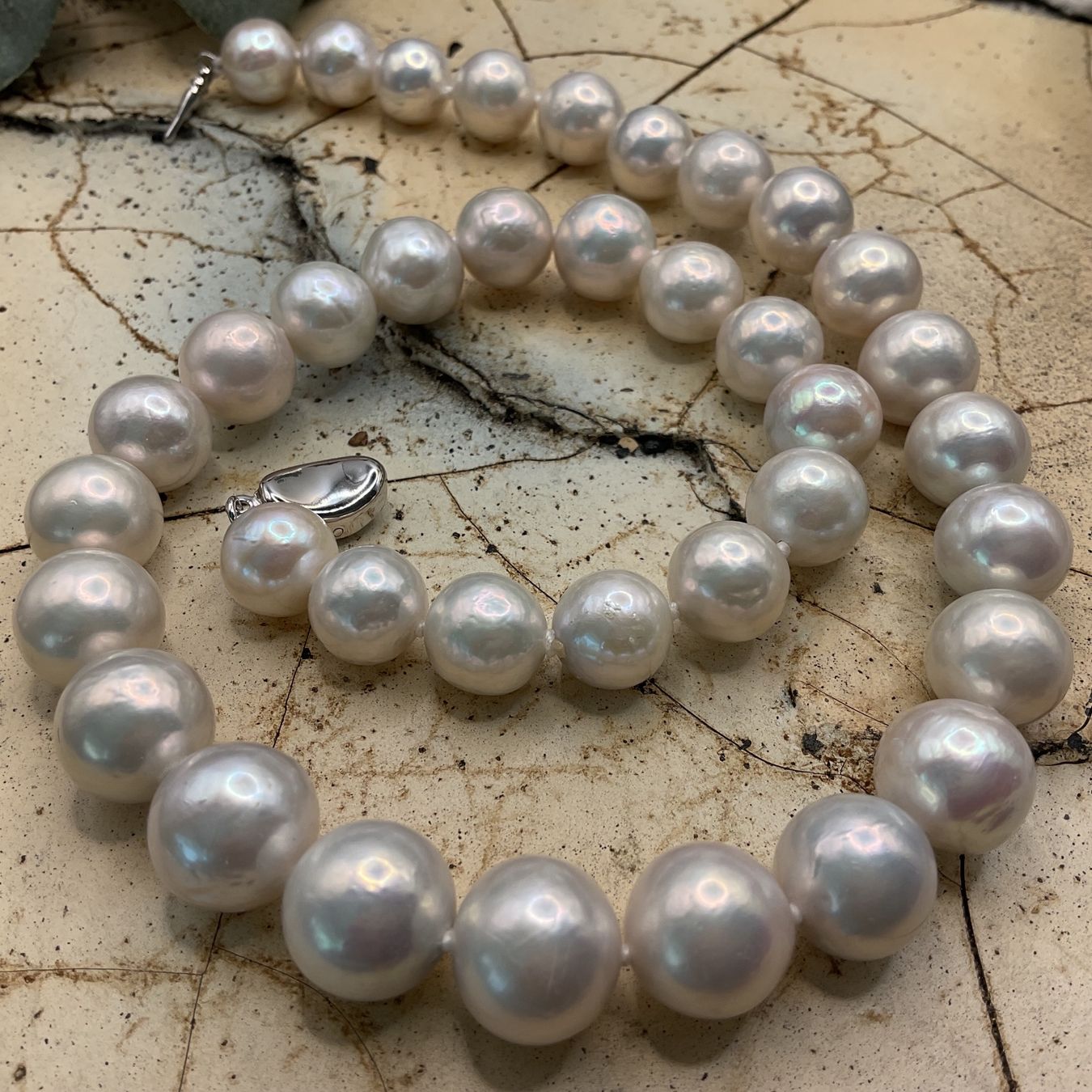 Perlen (unechte): Super Edisonperlencollier, Perlen 10 - 12mm, weiss – Neu (gemäss Beschreibung) aus luzern von Alpendorf1 2
