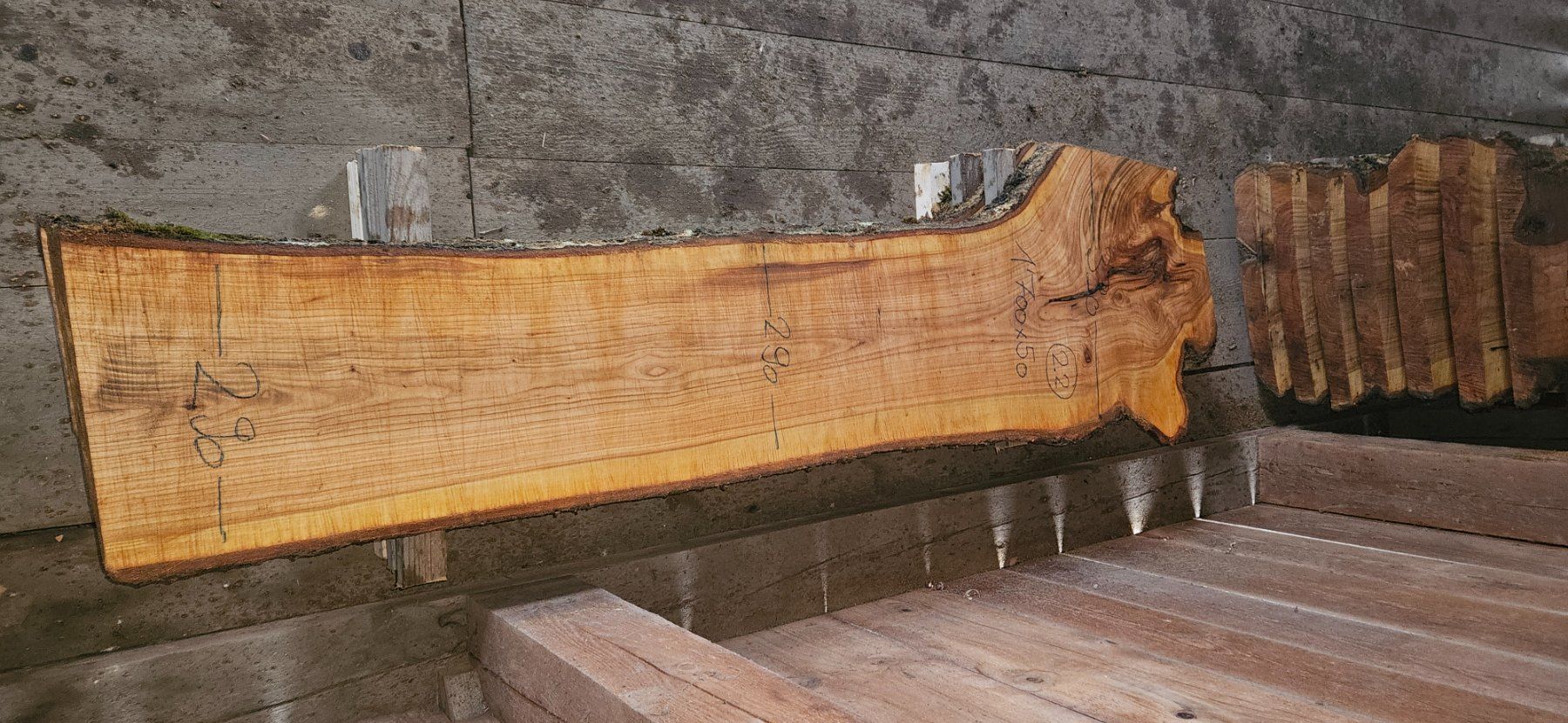 Articoli in legno: Kirschbaumbretter – Nuovo (secondo la descrizione) da Vielbringen Worb venduto da lua_cm7v 2