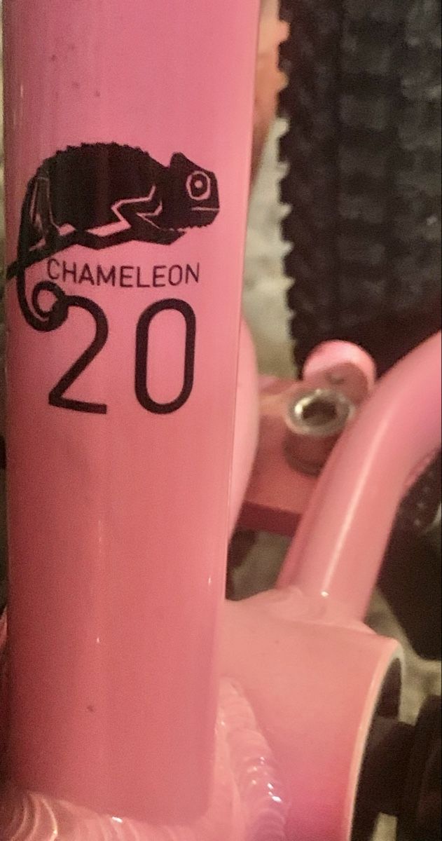 Naloo Biciclette: Naloo chameleon 20 Zoll – Usato da Binz venduto da denise014 7