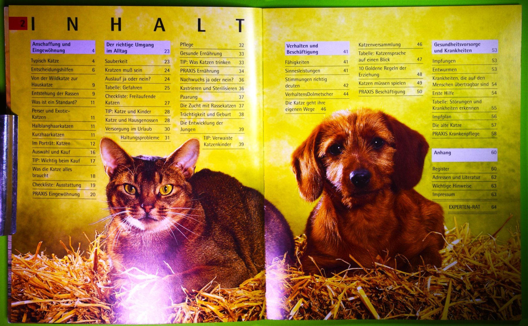 Libri: KATZEN / KATRIN BEHREND / GU TIER RATGEBER ! – Usato da Luzern venduto da piro12 2