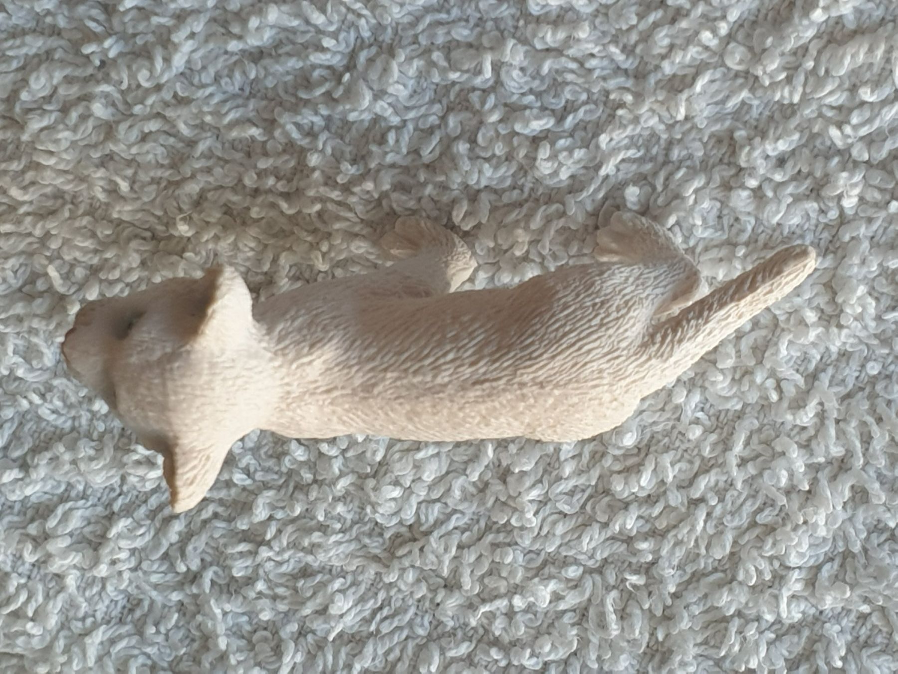 Schleich Statuette: Löwenbaby Tier Schleich – Usato da Mörschwil venduto da spirspi 6