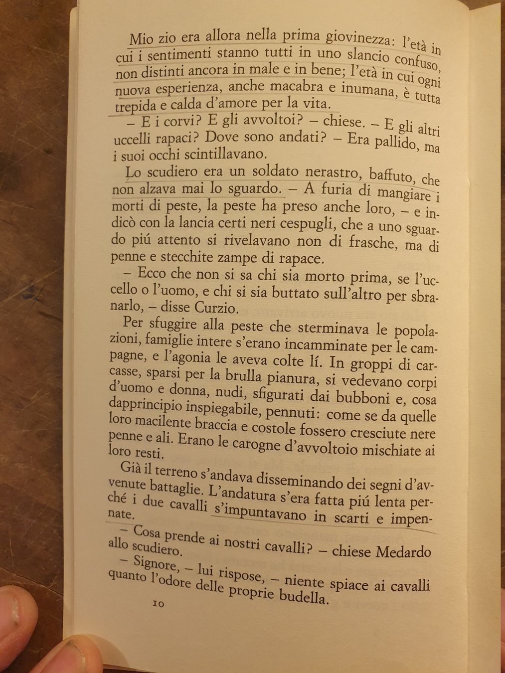 Libri: Il visconte dimezzato - Italo calvino – Usato da Zürich venduto da loosebone 5