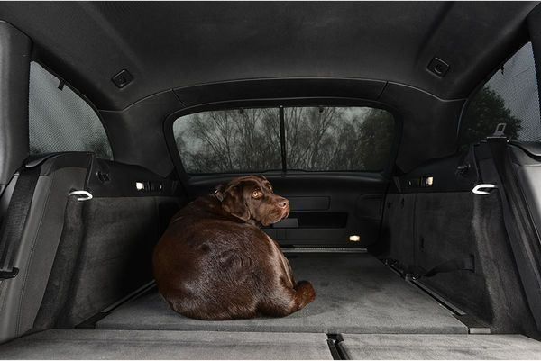 Audi Tutti i ricambio: Car-Sonnenschutz Audi A3 3-türer 2003- – Nuovo e nell'imballaggio originale da Rielasingen-Worblingen venduto da Autozubehoer 5