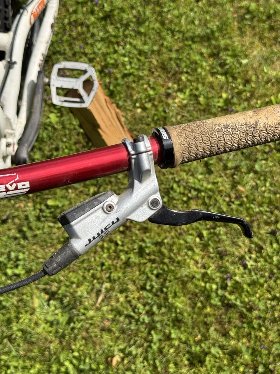 Scott Biciclette: Downhill Scott High Octane – Usato da Wädenswil venduto da Chipses 5