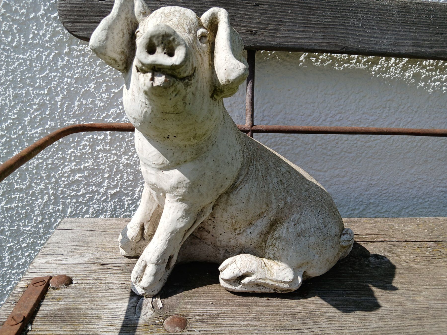 Sculture & Statue: Schwein Gartenskulptur gegossen – Usato da Zumikon venduto da Vollvintage 2