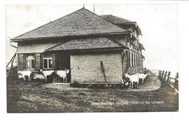 Gasthaus Hochalp ob Urnäsch (AR) Geissen - Foto-AK um 1915