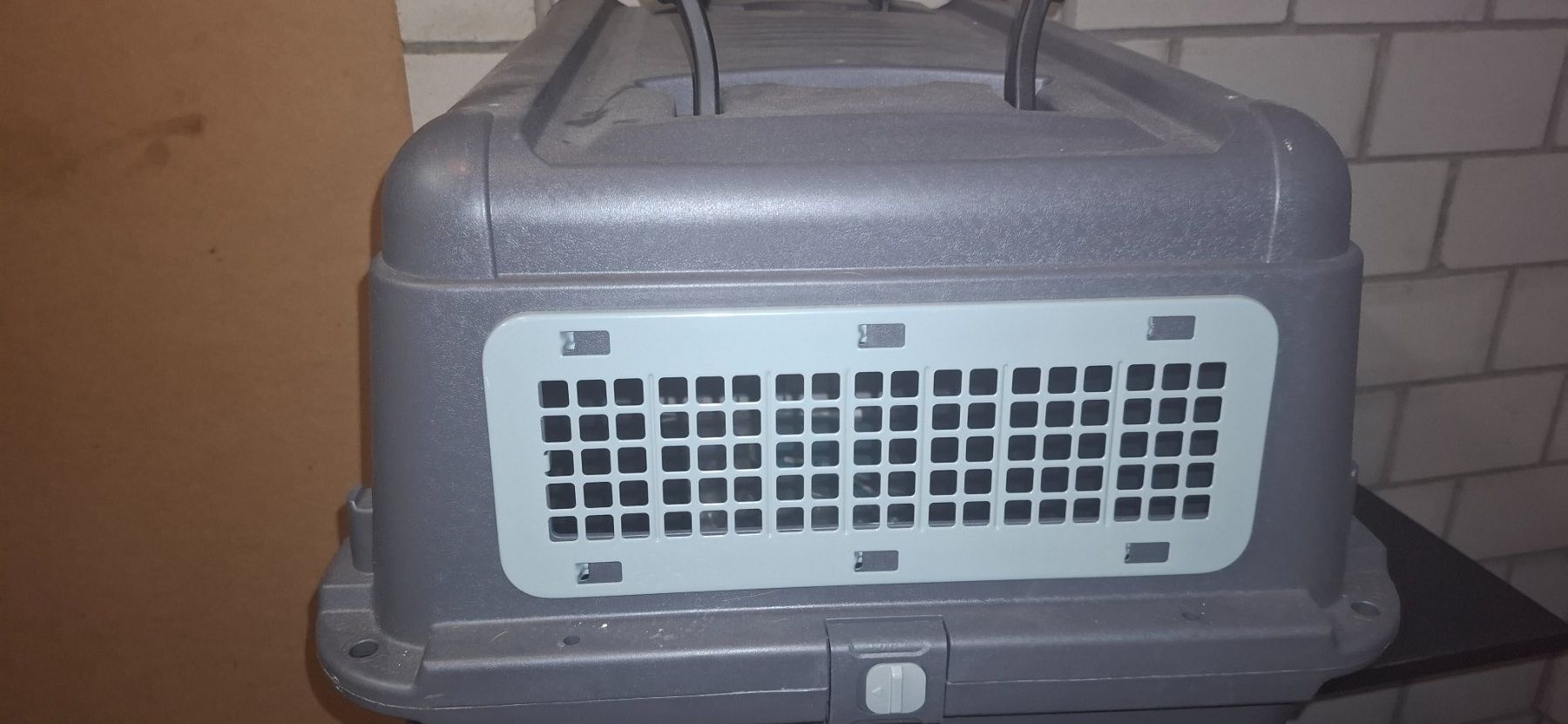 Gabbie, trasporto & Sicurezza: Transportbox Anione, M, Hund oder Katze – Usato da Menznau venduto da cor_57cb 2