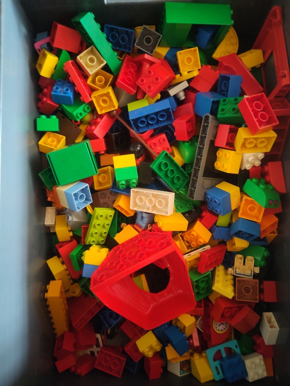 Lego Giocattoli: grosse Kiste Lego Duplo – Usato da Gächlingen venduto da Kreacycle