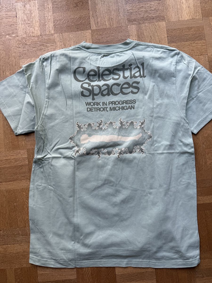 Carhartt T-Shirts: TShirt von Carhartt – Gebraucht aus Pratteln von ger_qdj9 1