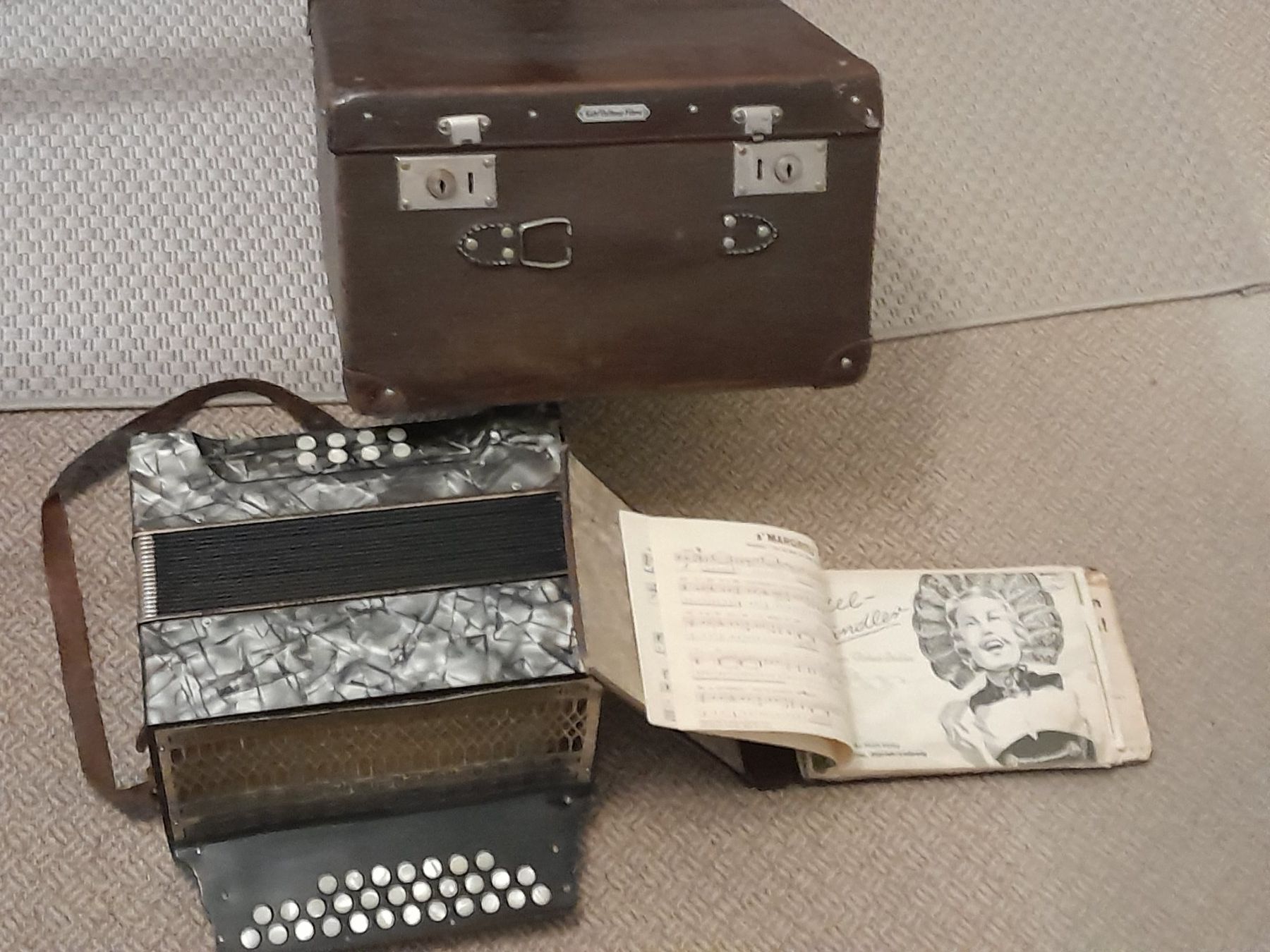 Strumenti musicali: Hohner Concertina Vineta – Usato da Tann venduto da Raqueldoo