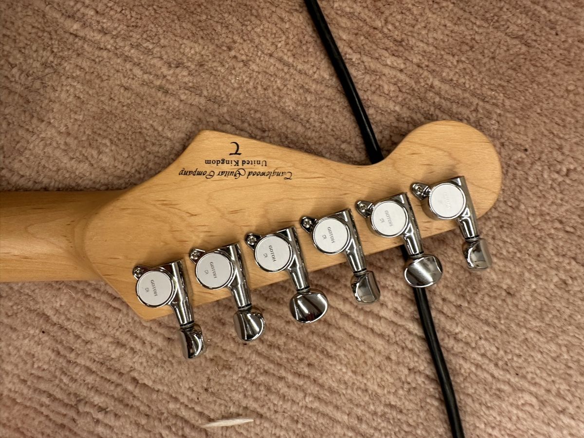 Strumenti musicali: E-Gitarre Tanglewood Stratocaster mit eingebautem Bluespedal – Usato da Tschierv venduto da Screamingwolfguitars 3