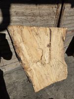 Ahorn Stamm / Holzklotz trocken – ca. 100 × 80 × 15 cm 