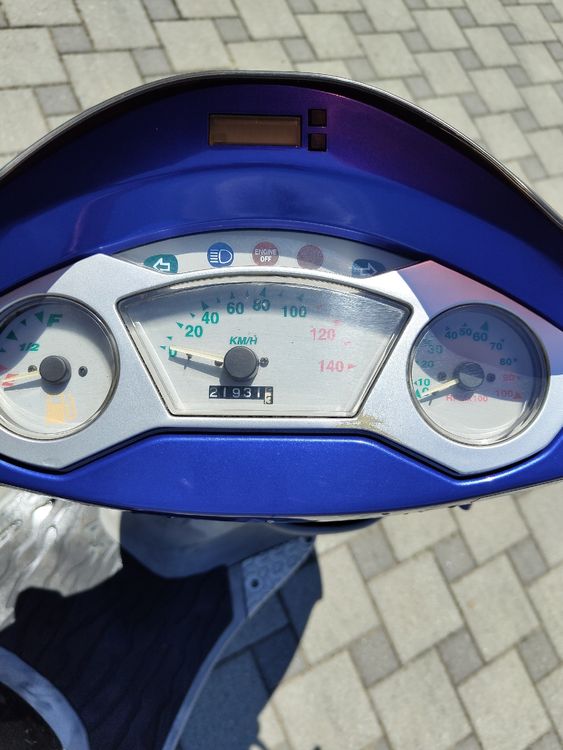 Pgo Scooters: PGO T-REX 125 – Gebraucht aus Lyss von ben_lgb6 4