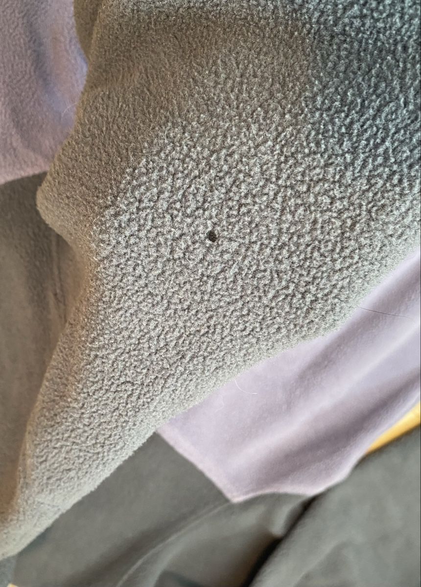Patagonia Maglioni & Felpe: Patagonia Synchilla Fleece XL – Usato da Eschlikon TG venduto da mur_byr9 5