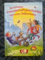 Leselöwen Freundschaftsgeschichten gebraucht Zustand