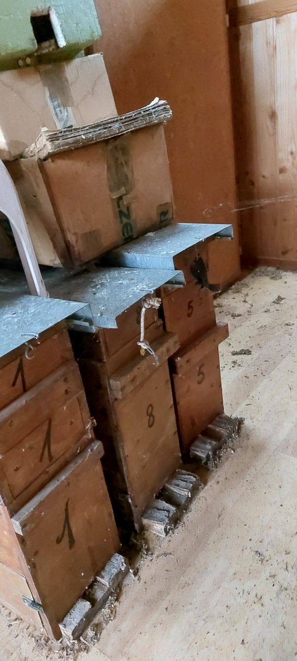 Alveari: Bienenkiste Magazin Beute – Usato da Brislach venduto da ericCH 1