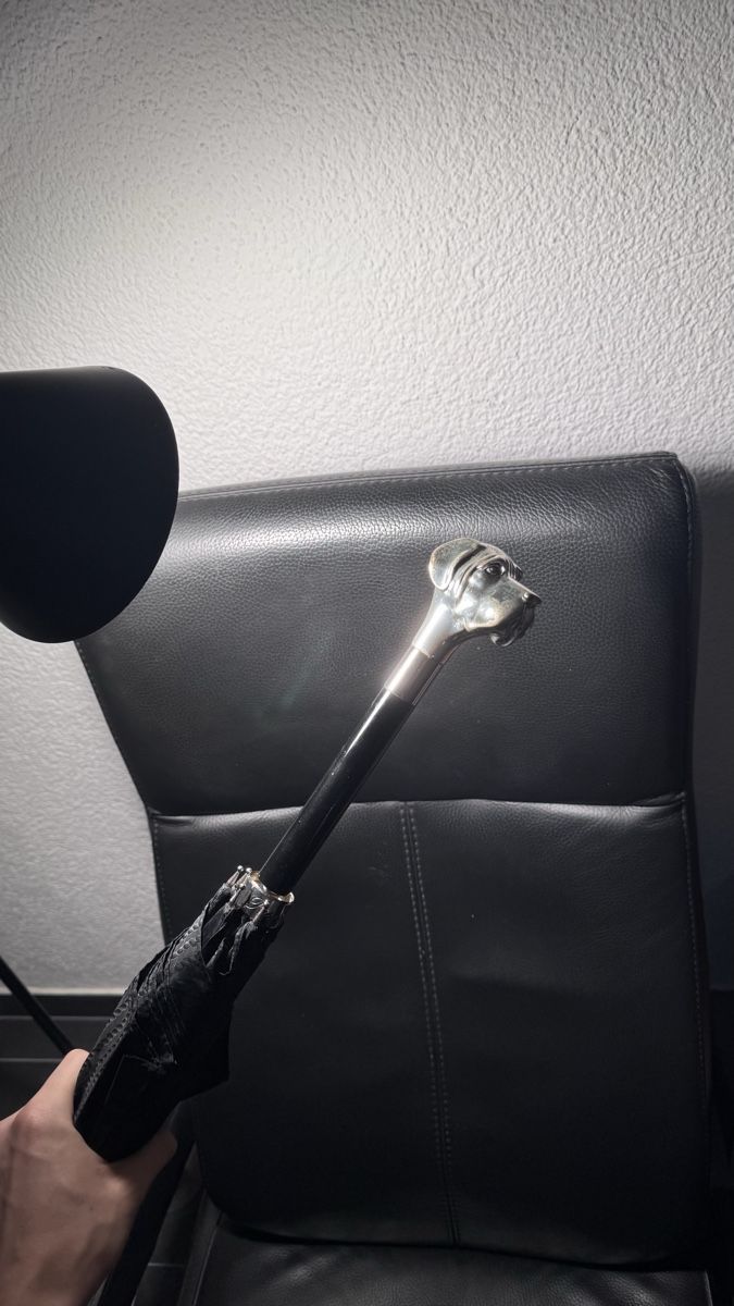 Ombrelli: Pasotti Schirm mit Labrador Handle – Usato da Brugg AG venduto da GiovanniVercetti 1