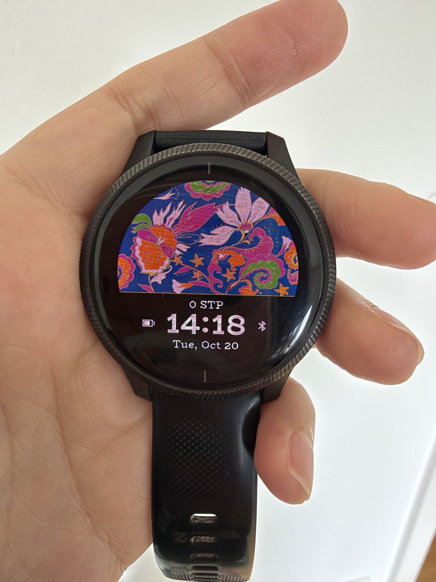 Garmin Smartwatch: Garmin watch Venu  – Gebraucht aus Meilen von lia_6py6 1