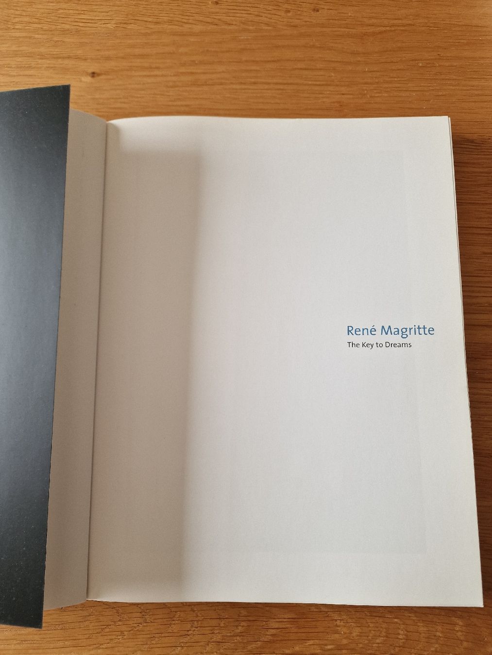 Libri: Livre René Magritte  – Usato da Oberhofen AG venduto da jac_f7t8 2