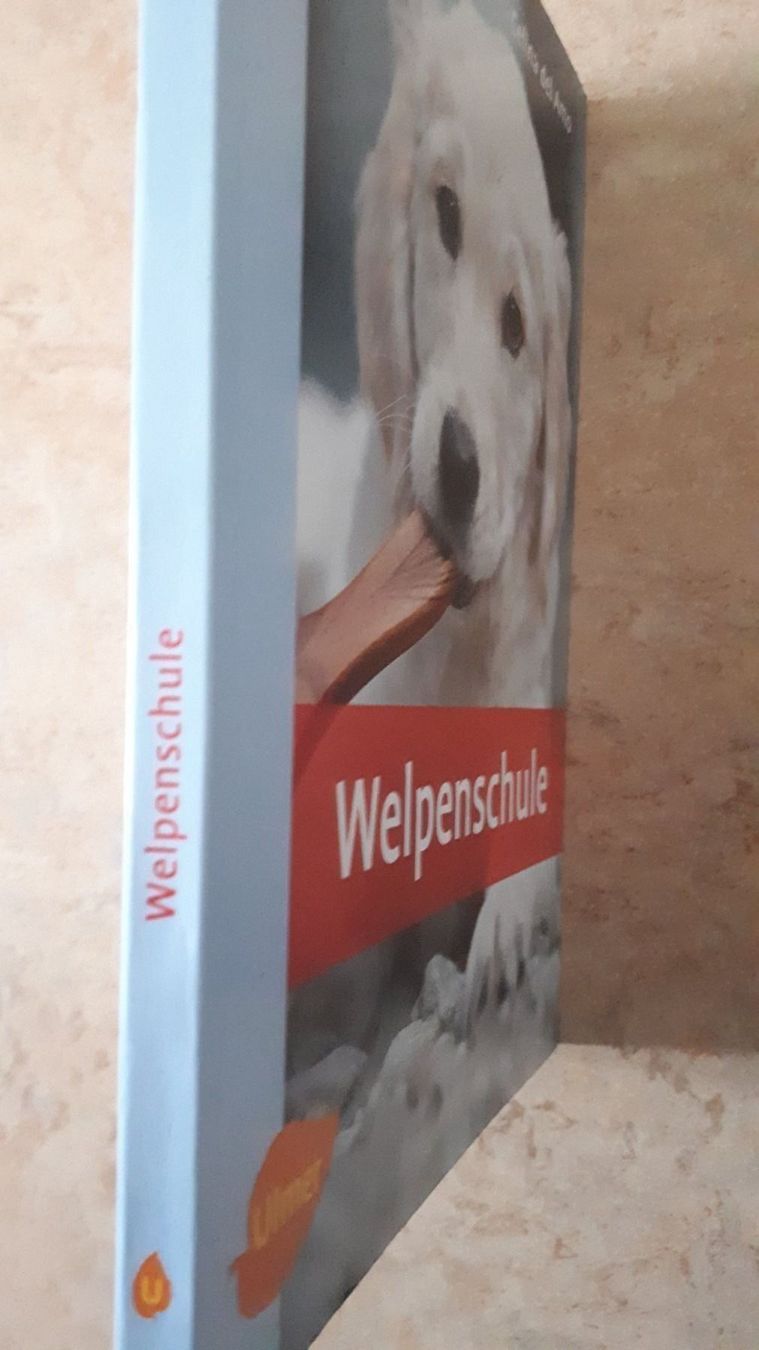 Libri: Welpenschule Celina del Amo – Usato da Basel venduto da Alacant 2