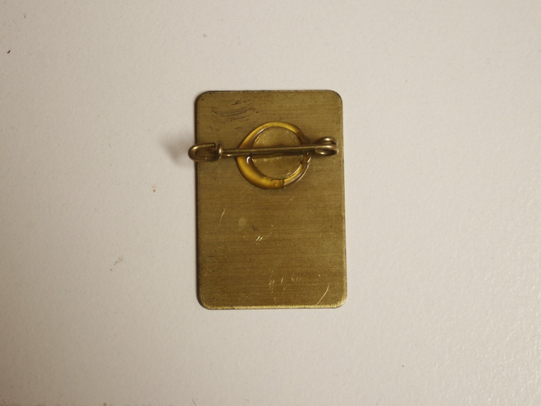 Placchette & Badge: Pin – Usato da Zofingen venduto da dodolino65 2