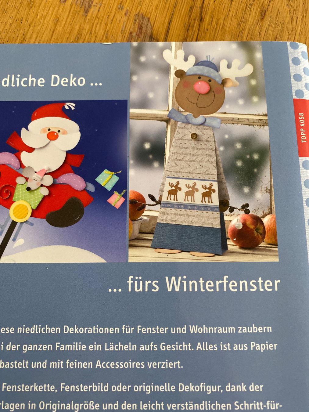 Bücher: Bastelbuch Fensterbilder – Gebraucht aus Bleienbach von Dbeno 1