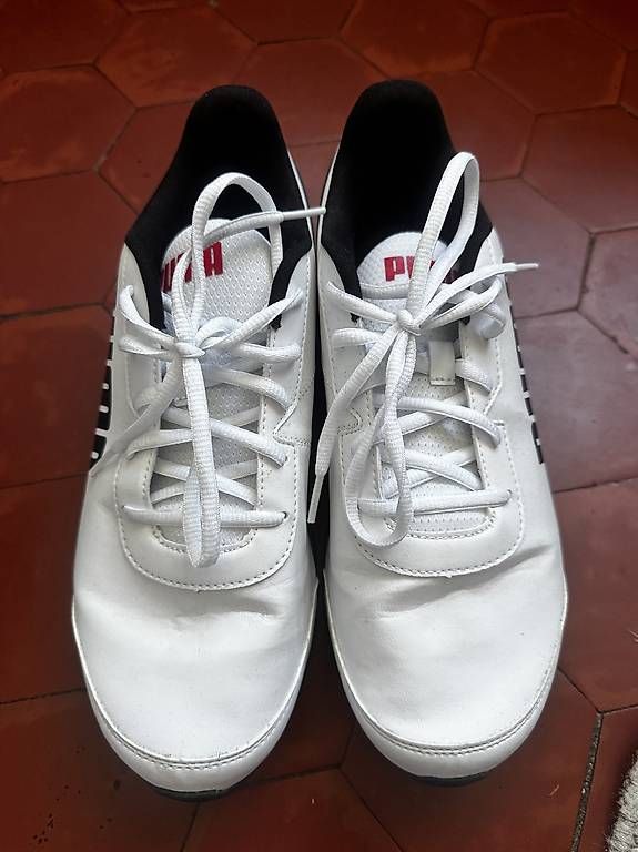 Herrenschuhe: Puma Sportschuhe , Gr. 42,5 – Gebraucht aus Zuerich von Am81 1
