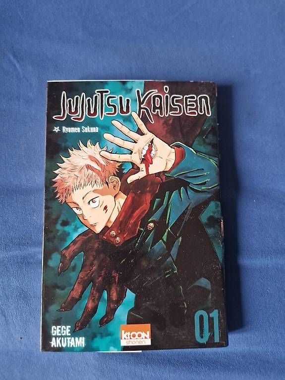 Comics: Jujutsu Kaisen Tome 1 – Gebraucht aus Palézieux-Village von oce_yc95