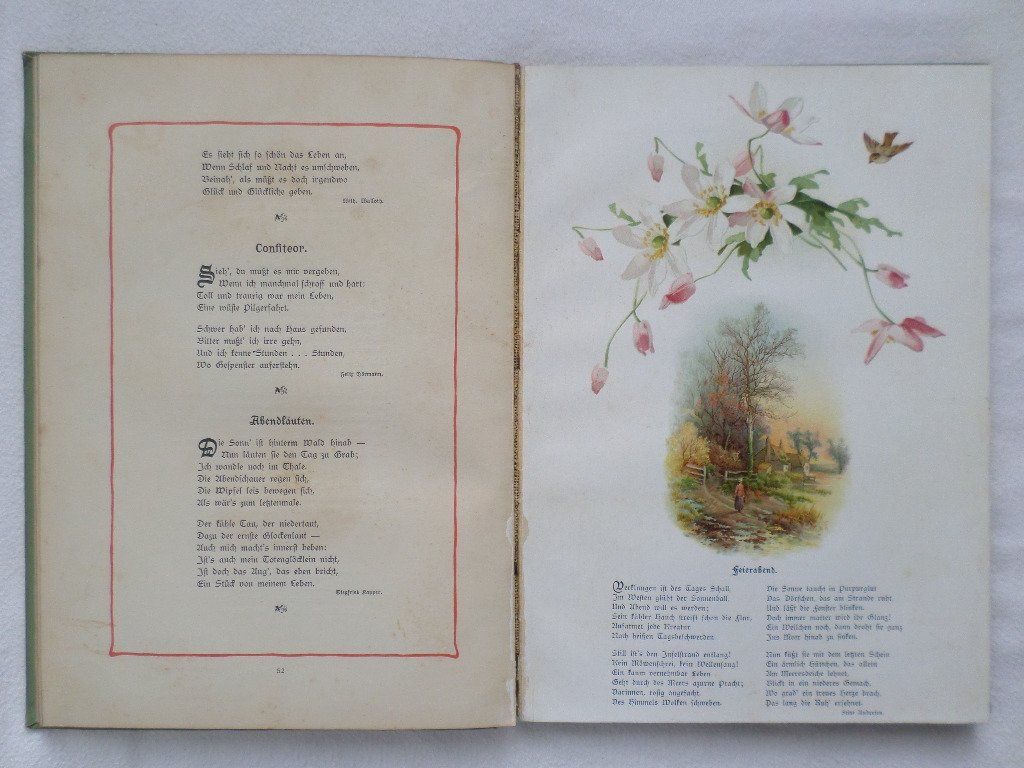 Libri: Rosen und Dornen – Usato da Liestal venduto da man_7bt6 7