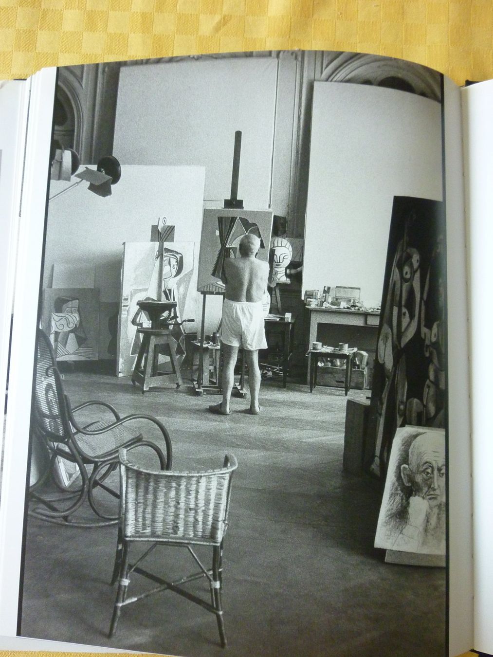Bücher: Picasso malt ein Portrait – Gebraucht aus Egg b. Zürich von MissMarple2 2