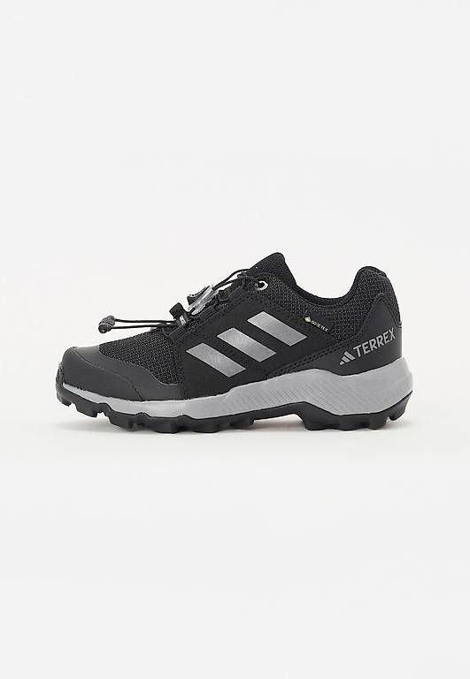 Herrenschuhe: Adidas Terrex GTX Gore-Tex Gr. 28,5 – Gebraucht aus Lyss von Angelahar