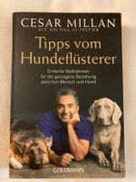 Cesar Millan, Tipps vom Hundeflüsterer