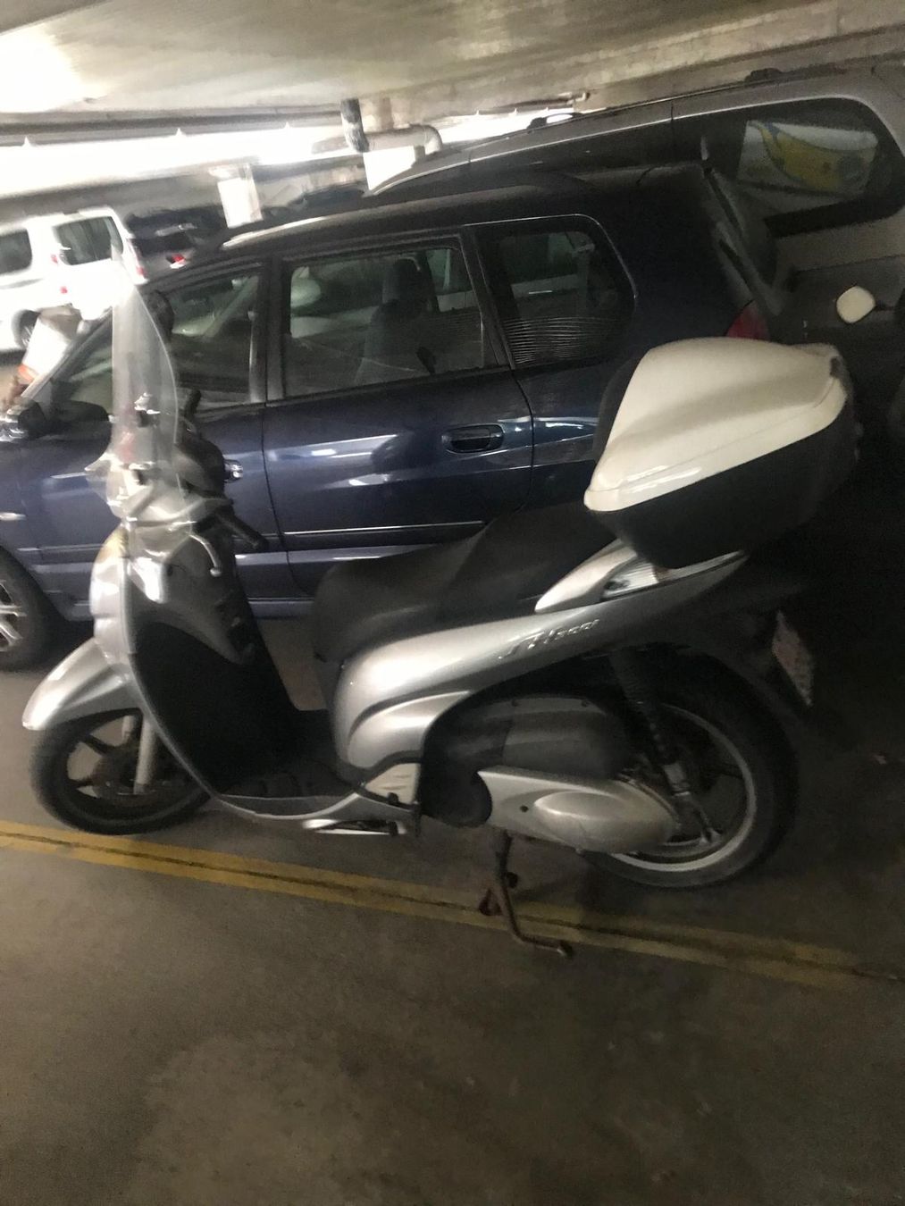 Honda Scooter: Honda SH 300 Mfk in 2025 – Usato da Chiasso venduto da hir_p6yj