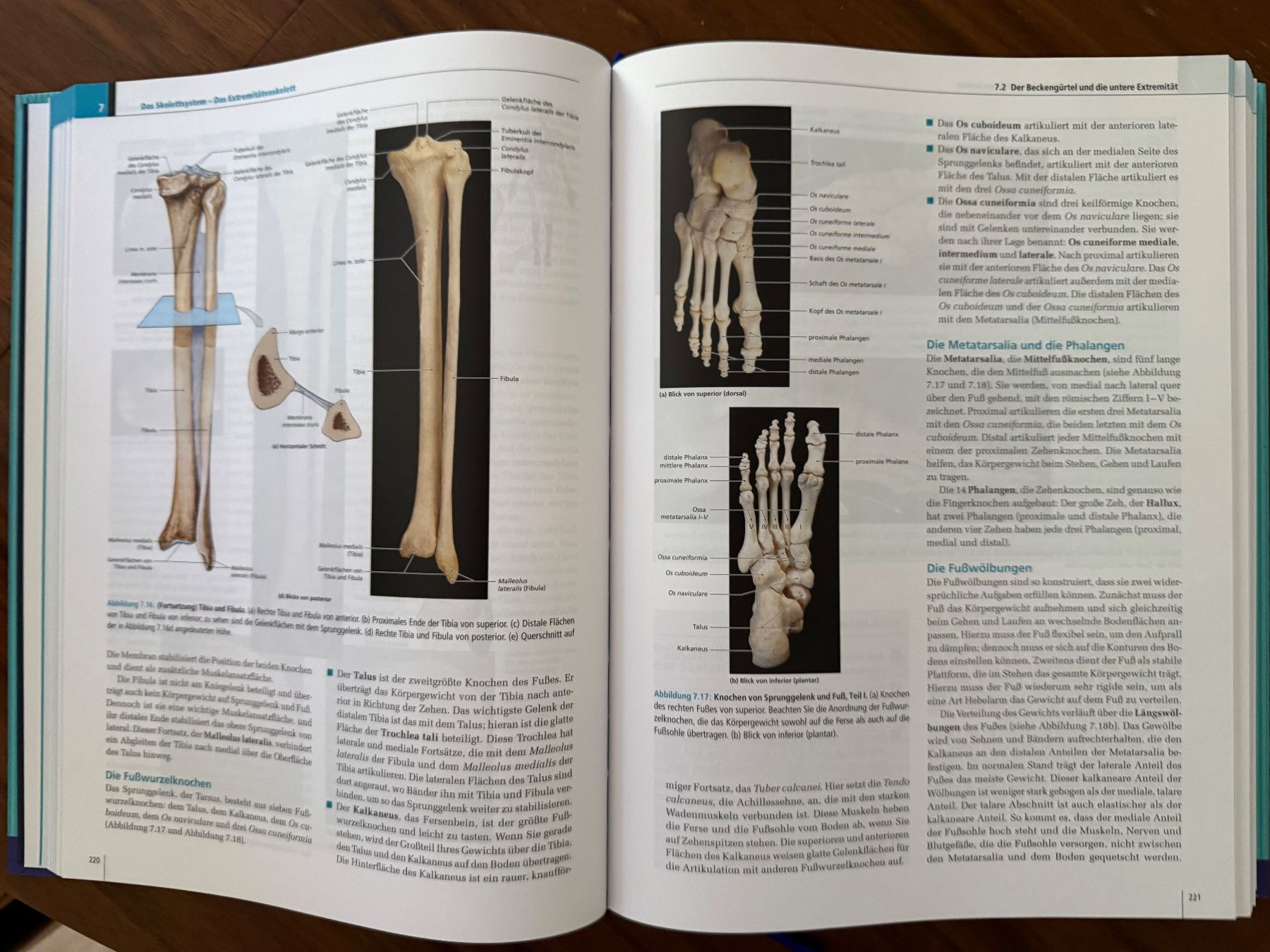 Bücher: Anatomie Atlas – Gebraucht aus Hünenberg See von jea_s5nn 1