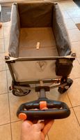 Chariot tout terrain motorisé Litheli eWagon W1 Pro pliante